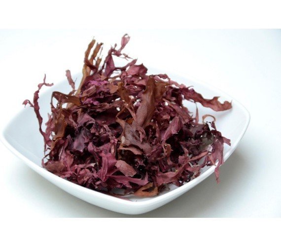 ALGA DULSE BIO 25 g