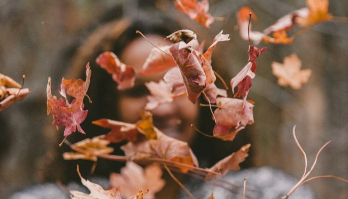 cuidados en otoño